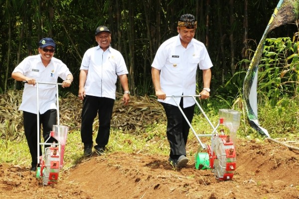 Bupati Bandung H. Dadang M. Naser, SH., S.IP., M.IPol dan Kepala Distanbunhut Ir. H. A. Tisna Umaran, MP saat ujicoba Corn Sheller atau alat penanaman biji jagung di Desa Margaasih, Kec Cicalengka, Rabu (16/3). by Humas Pemkab Bandung