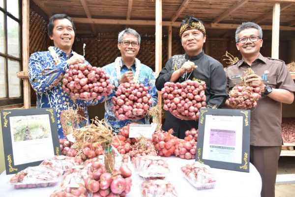 Bupati Bandung H. Dadang M Naser, SH,S.Ip.,M.Ip didampingi Kadistan Kab Bandung Tisna Umaran bersama Kepala BI Jabar dan Rektor Unpad, usai penandatanganan MoU tentang program pengembangan agribisnis pertanian komoditi bawang merah, di Kampung Cikawari, Desa Mekarmanik Kecamatan Cimenyan, Selasa (30/1/18). by Humas Pemkab Bdg