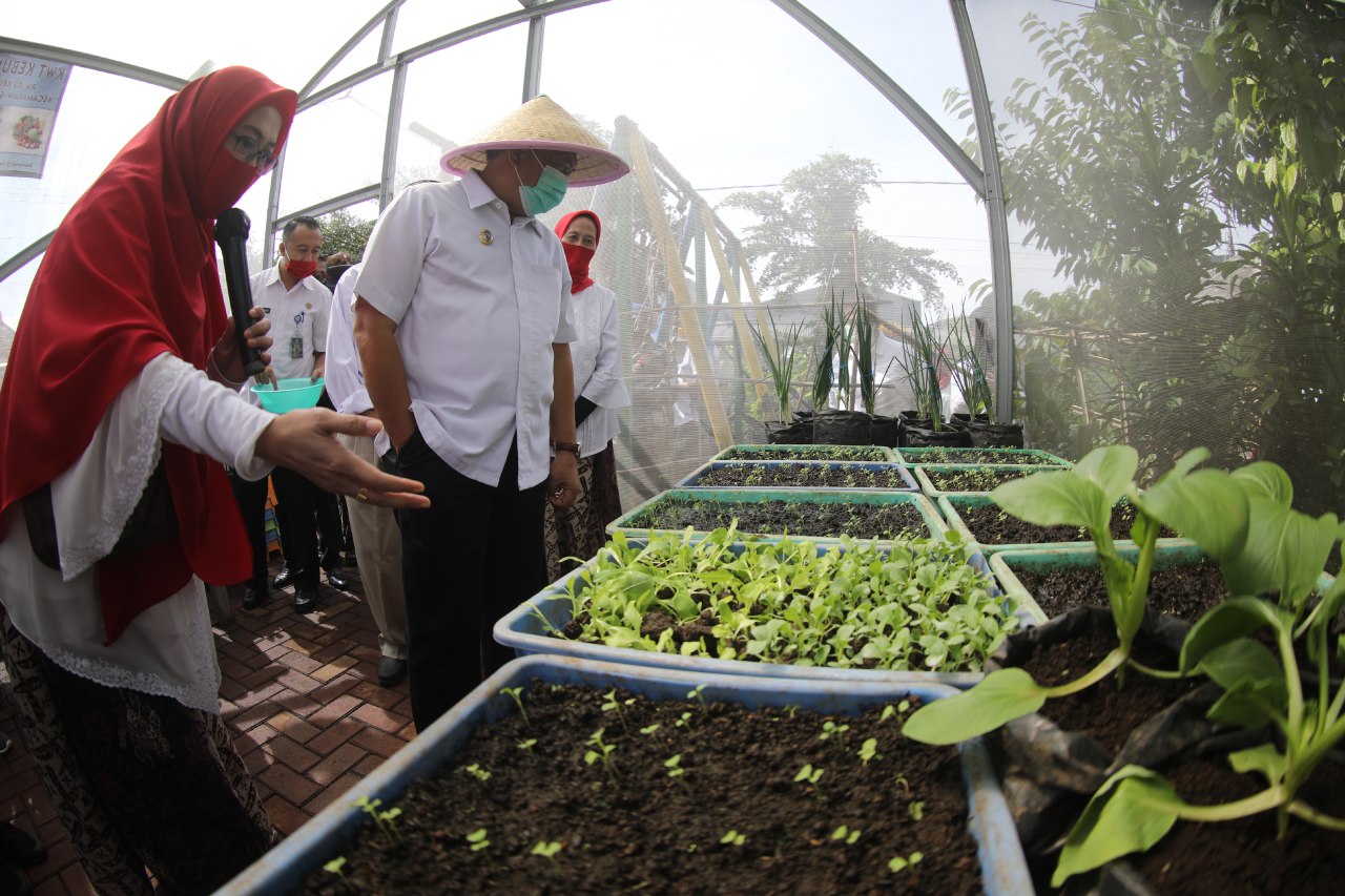 Pemkot Bandung Bangun Ketahanan Pangan Lewat Urban Farming Terintegrasi ...